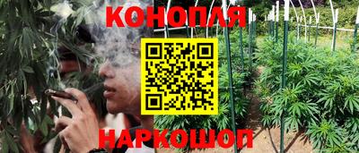 каннабис Гусев