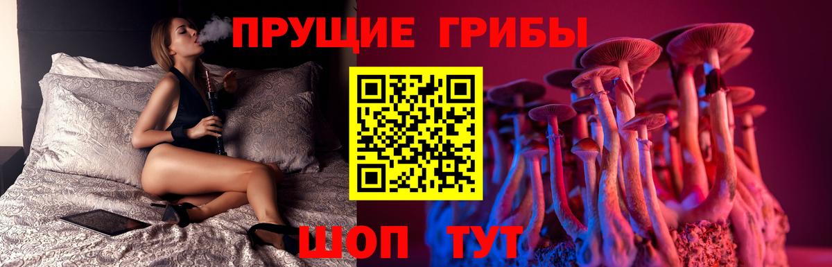 Псилоцибиновые грибы Psilocybine cubensis  Псилоцибиновые грибы мухоморы  Вход с VPN  Нефтекумск 